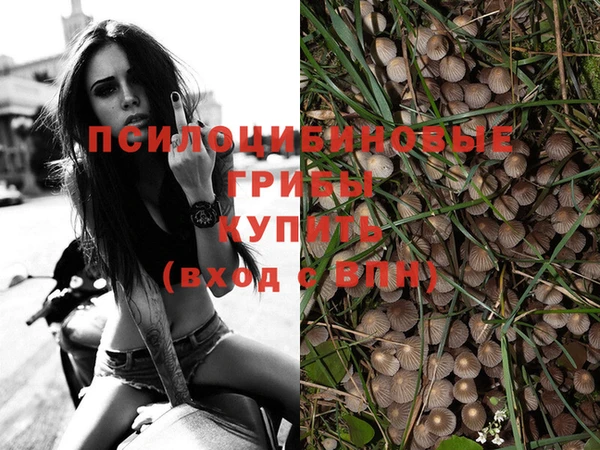 меф Баксан