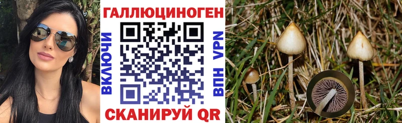Галлюциногенные грибы прущие грибы  Орёл 